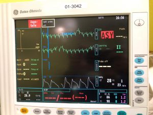 Studio Radiografico cane Como