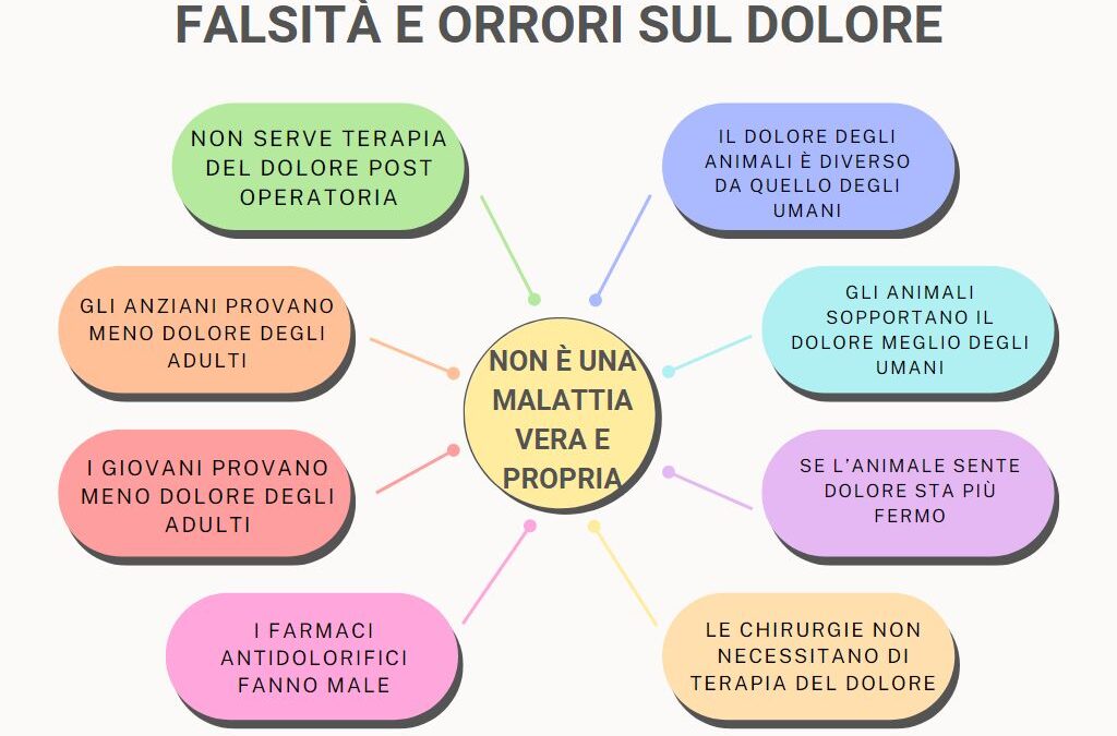 Anestesia e terapia del dolore