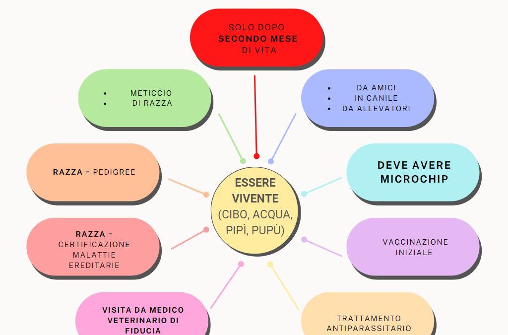 Acquisto di un animale