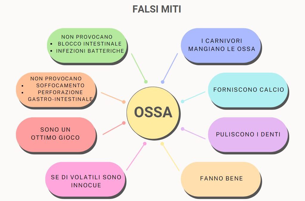 Ossa, i falsi miti!