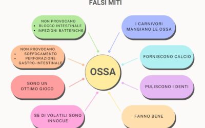 Ossa, i falsi miti!