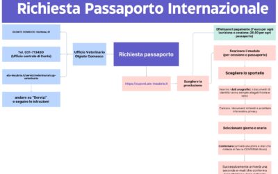 Come ottenere il Passaporto Internazionale per il proprio cane, gatto o furetto