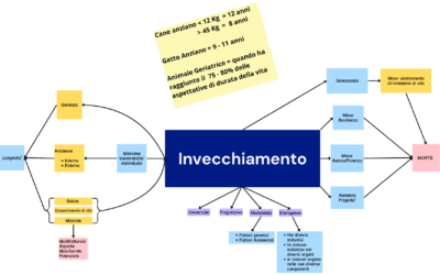 L’animale Geriatrico